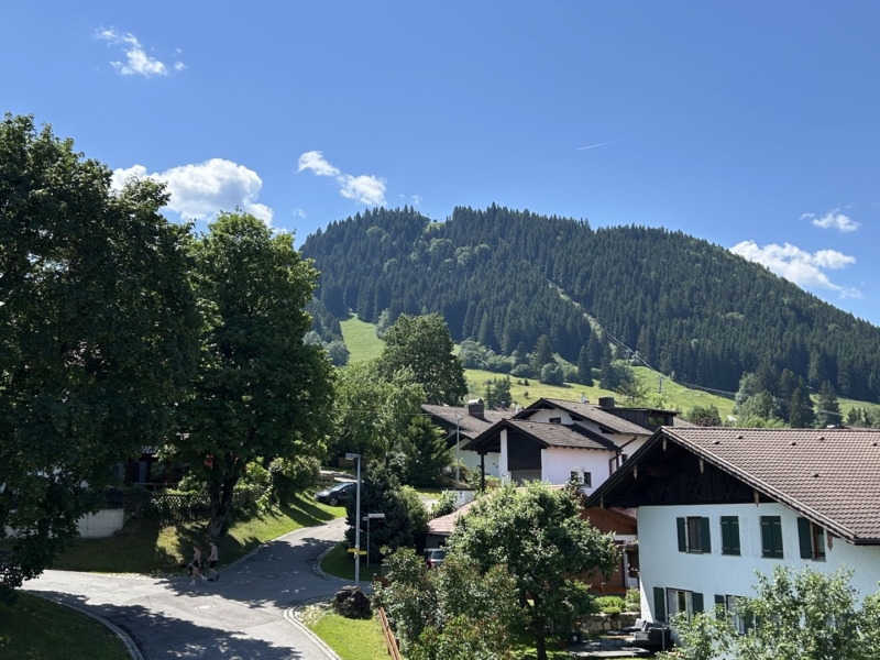 Ausblick auf den Buchenberg